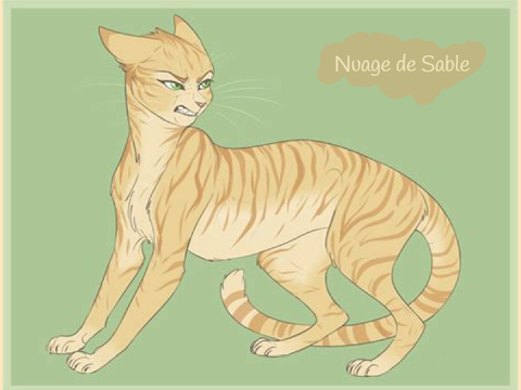 Casting nuage de sable