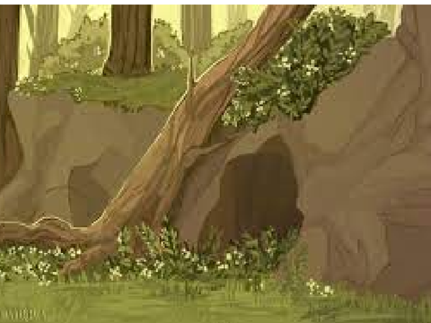 Willows, Myths, Mountains, and Tides Signups Organizer