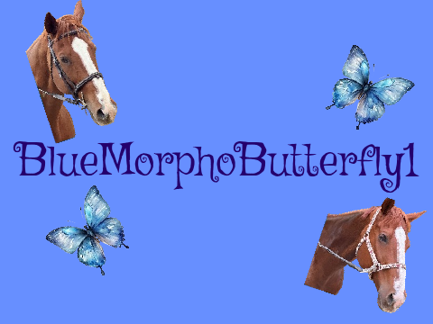 Pfp contest entry