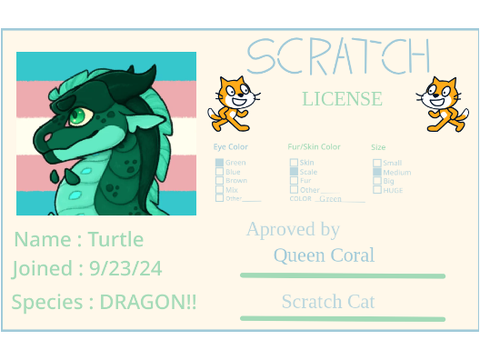 Turtle's Scratch License 