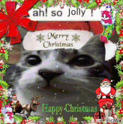 MERRY CHRISTMAS