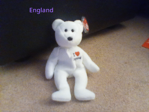 beanie boos story part 2 (BONUS: BEANIE BABY COLLECTION)