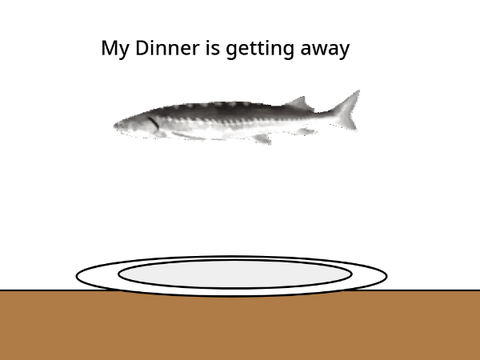 MYYYYY DINNER!!!!!!!!!!!!!!!!!