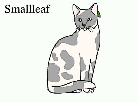 PFP - Smallleaf