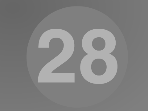 28
