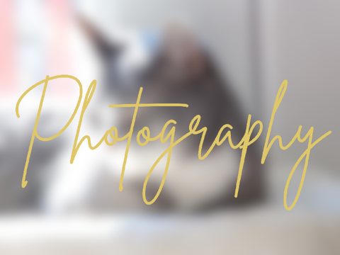 Photography Photos