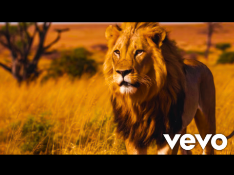 The Lion Sleeps Tonight