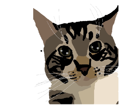 Cats!