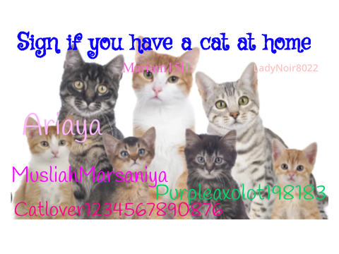 Sign if you have a cat at home Remix x3