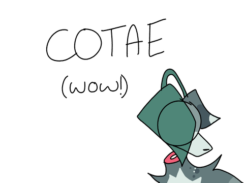 COTA Design (Pitcher Plant)