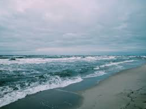 memory ocean - december wce