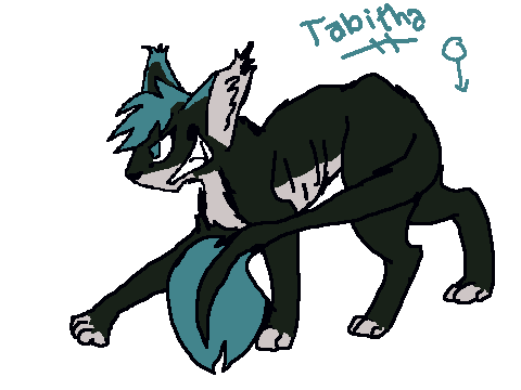 ADOPTED! Tabi and Claude