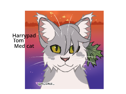 Harrypad