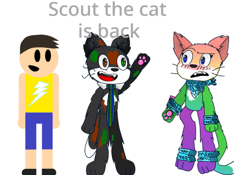 Scout the Cat