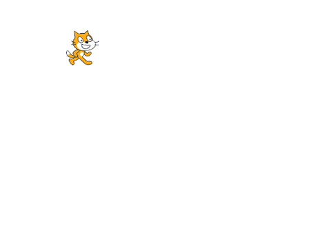 chase the cat
