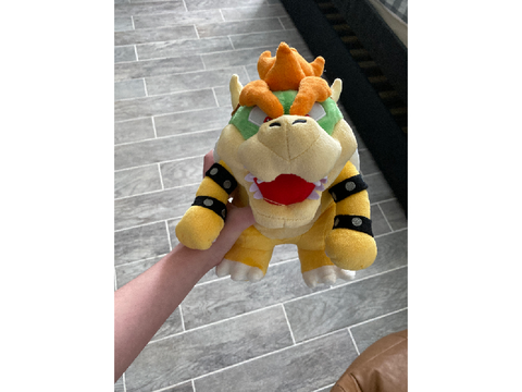 I got my Bowser Plush!
