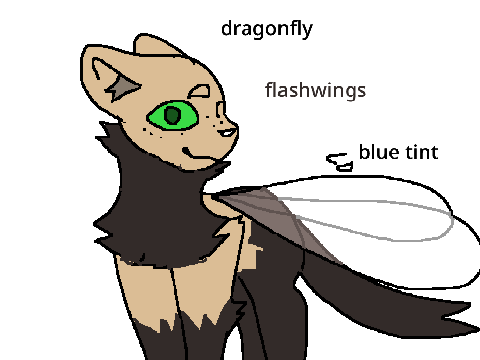 flashwings . cameo entry .