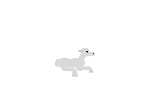 baby lamb