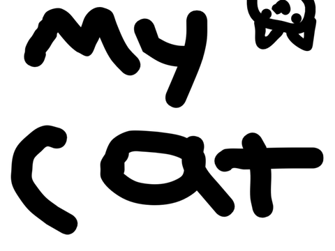 My cat