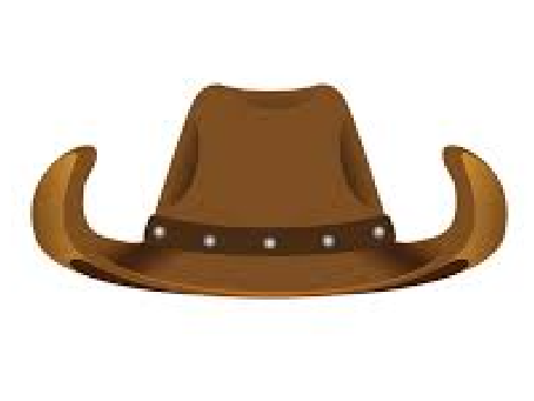 Austin Cowboys Goal Horn