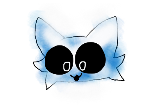 Scotland cat For why_thosalt 