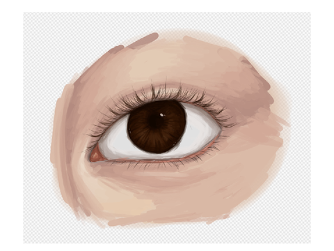 eye