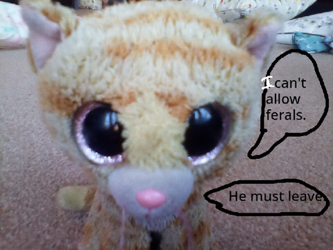 Beanie Boos story part 8