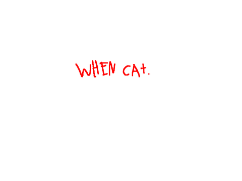 DAYDREAM WHEN CAT