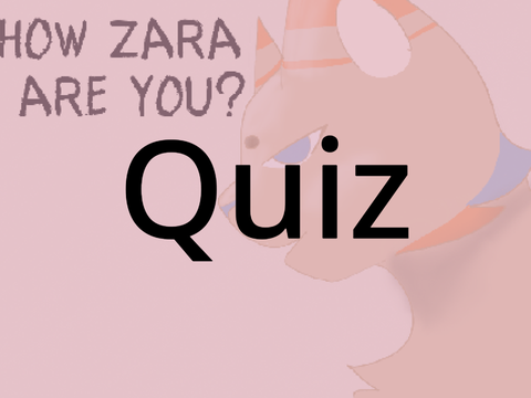 How Zara Are you?!?! remix