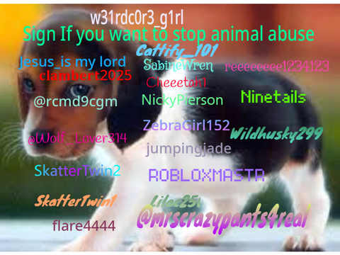 Sign to stop animal abuse⭐ remix remix