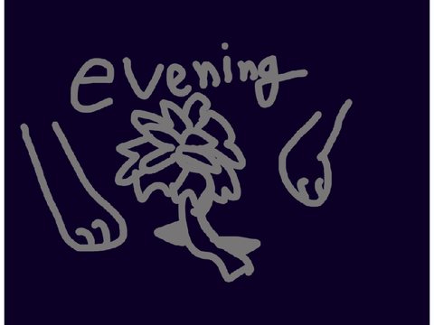 ❝evening❞ - a Hemingway SRP