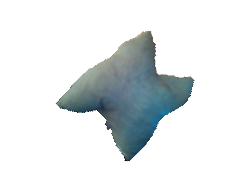 whity cushiony (100% real)