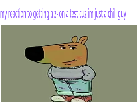 chill guy