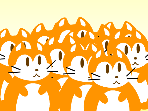 MOAR CATSSS