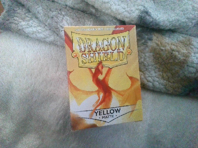 ドラゴンシールド買ってみた