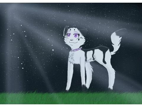 Star Gazing (AT w/ xXEchofrostXx )
