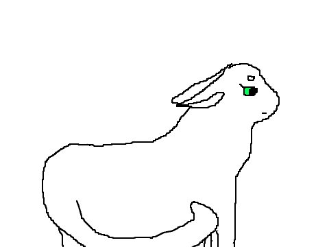 WARRIOR CAT CC