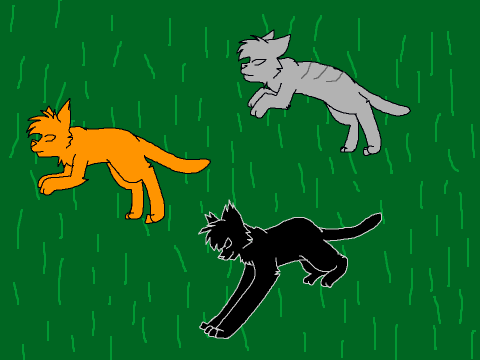 Firepaw, Graypaw, Ravenpaw