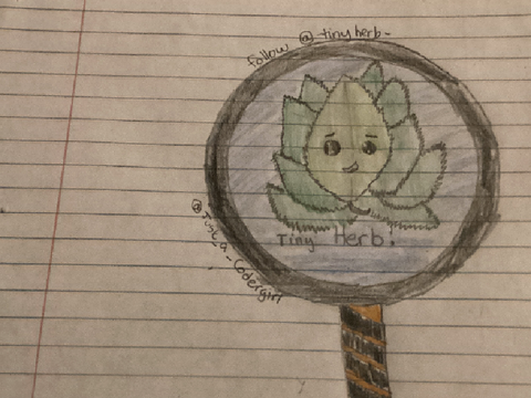 Custom art for @Tiny-Herb!