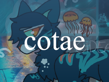[ cotae ⟶ jelly <3 ]