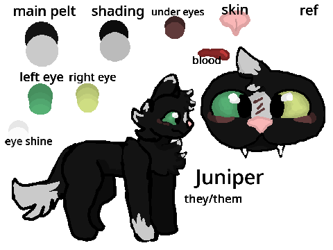 ref sheet - Juniper ref #4
