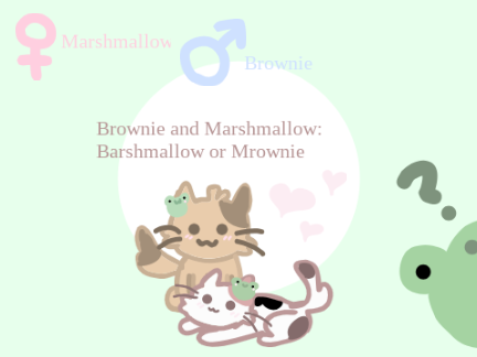 My cat OC's