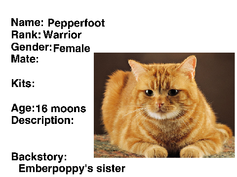 TigerClan Signup Sheet remix-2