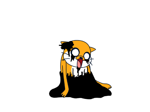 相棒も