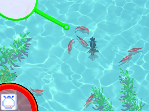 懐かしの金魚すくい　Goldfish scooping