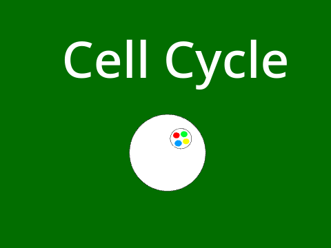 Cell Cycle Project