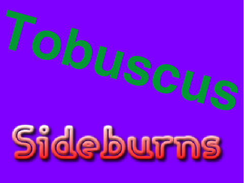 Tobuscus- Sideburns