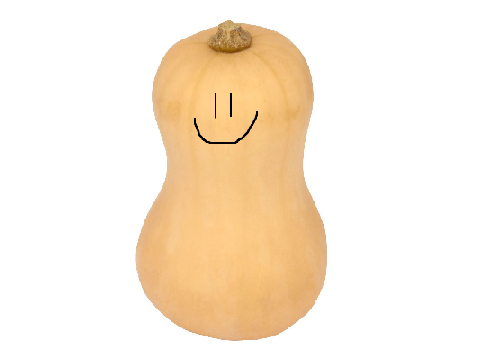 Squashy the butternut squash