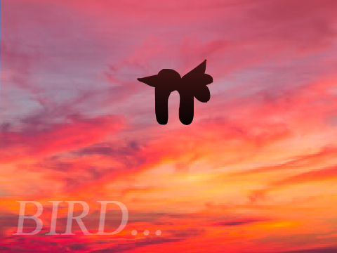 Bird... [BBFSA]