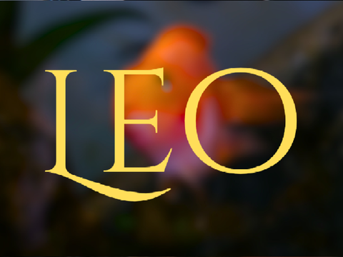 Leo The Sea Pumpkin